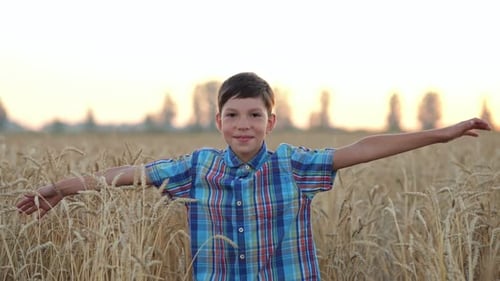 Happy Junior Schoolboy Runs on Wheat Field Against Sunset