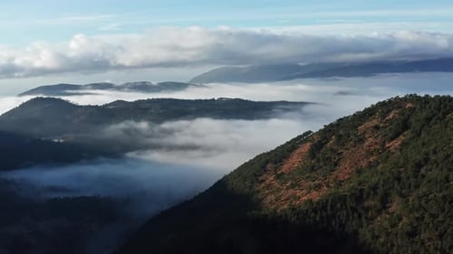 Misty mountain peaks rising above clouds at sunrise, with pine forests on slopes