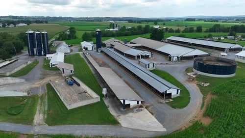 American farm in rural USA. Aerial establishing shot of silos, barns, and manure pit on summer day i