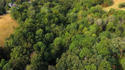 Aerial view of a hill with a forest and a house