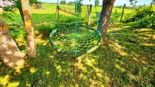 Green Circular Rope Swing Hanging Between Trees in Backyard on Sunny Day