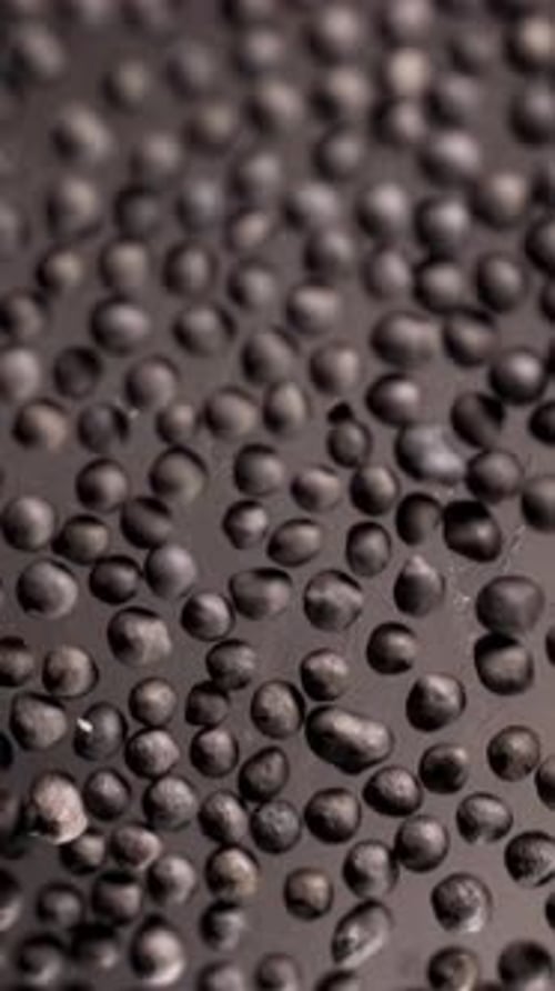 Black Peppercorn Background Grains Lying on Glass Surface Stock Footage Close Up of Black Pepper
