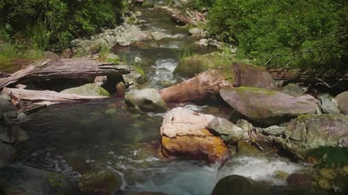 Creek Water Runs on Cascades in Summer Forest Valley