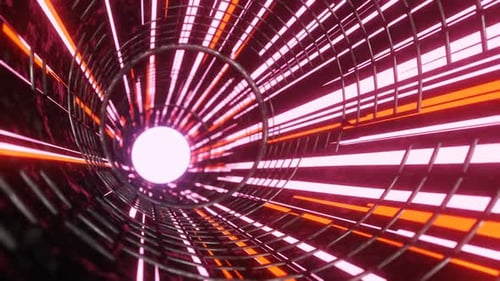 Round Tube 2 Loop Vj