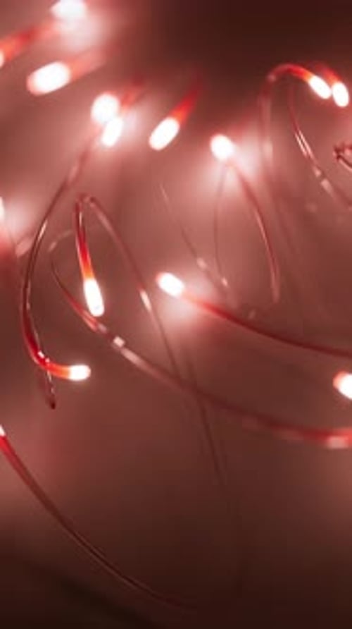Dynamic Red Twinkling Lights for Festive Backgrounds