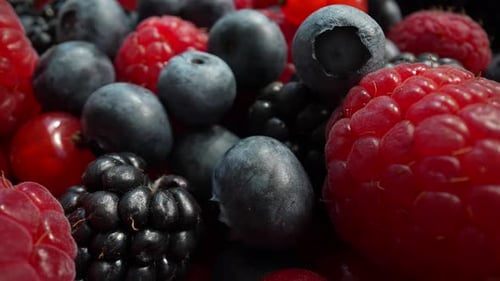 Delicious Berries Close-up Featuring Raspberries, Blueberries, Currants