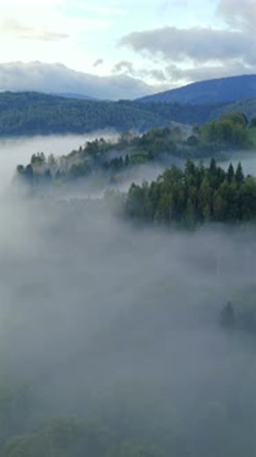Aerial View of Fog Rolling Over Forest and Mountain Valley in Morning Light