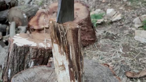 Axe Splitting Wood Block on Tree Stump