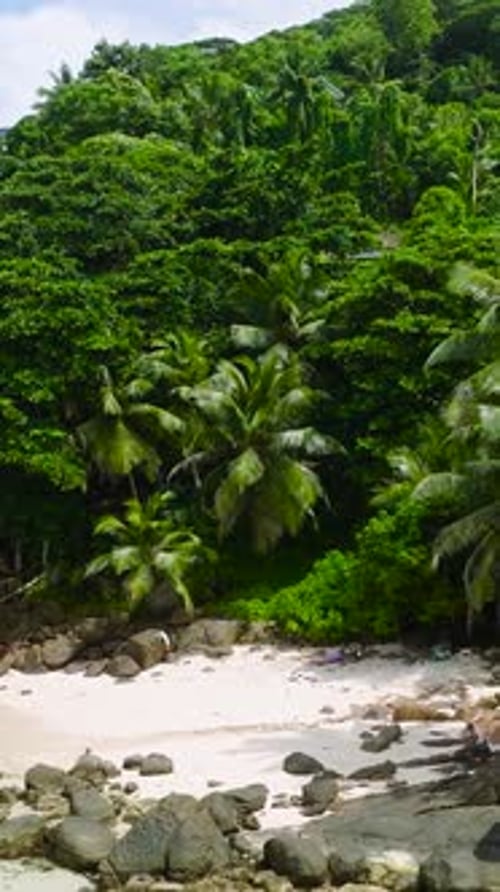 Tropical Beach with Turquoise Water Seychelles Mahe