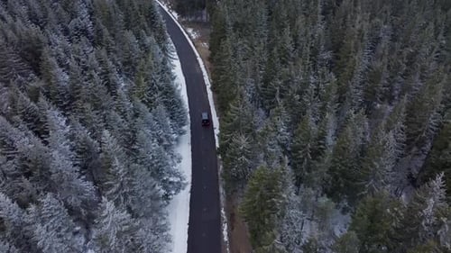 Bird's Eye View Captures Car Navigating a Winding Snowy Path Amidst a Frost Covered Pine Forest in