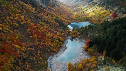 Beautiful Multicolored Forest And Lake In Mountains Valley In Autumn Day Aerial Landscape