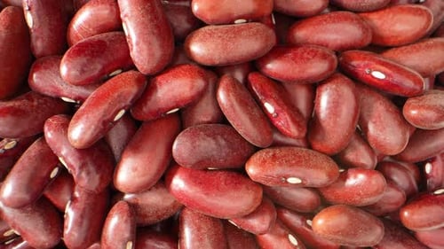 Eye-Level Close Up Shot of Shiny Red Kidney Beans