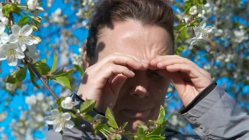 Niesen nach dem Riechen von Blumen