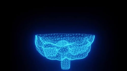 Animated Glowing Wireframe Brain Hologram