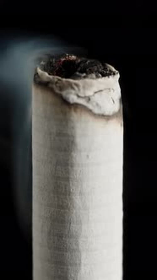 how long does chewing tobacco take to cause cancer Health effects of smoking tobacco how long does chewing tobacco take to cause cancer Health effects of smoking tobacco