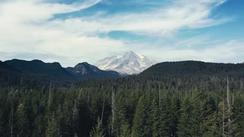 Incredibly gorgeous drone aerial shot that tracks forward of Mt Rainier in Washington State.