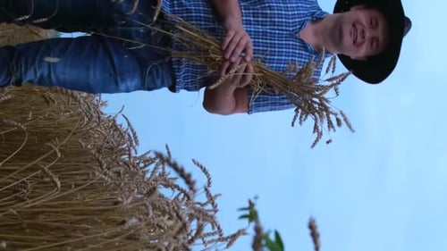 A Young Happy Farmer Holds Ears of Ripe Wheat in His Hands Against the Background of a Golden Field