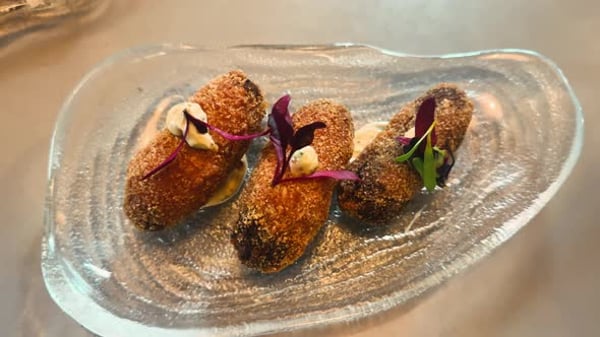 Pumpkin Croquettes with Creamy Garlic Sauce and Microgreens on a Plate ...