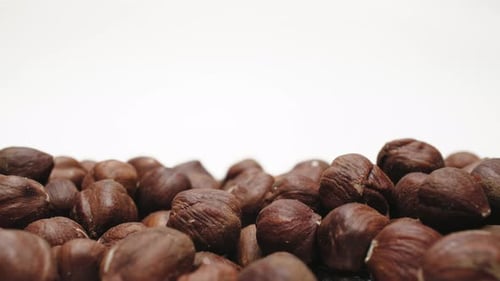 Pile of Brown Hazelnuts on White Background