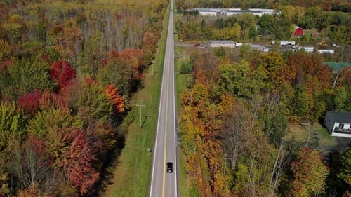 Aerial View of a Long Straight Road Cutting Through Colorful Autumn Forest Car Driving Along Rural
