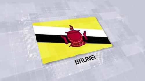 Brunei Flag Presentation Displayed On Modern Clean White Background