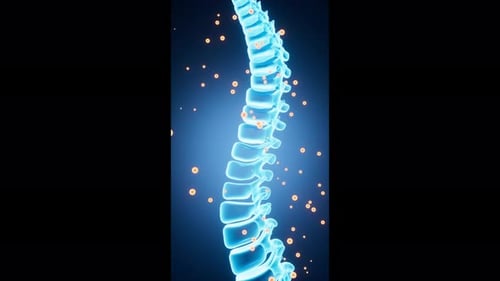 Animated Human Spine with Interacting Orange Particles Medical Visualization