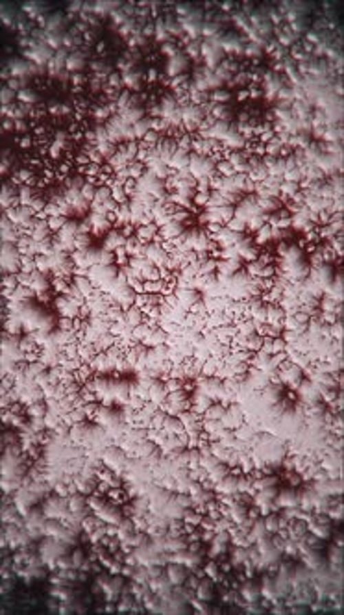 Vertical Video - Gory Horror Breathing Surface Background