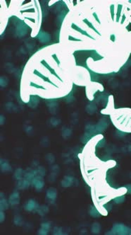 Exploring DNAs Structure with a Glowing Abstract Representation