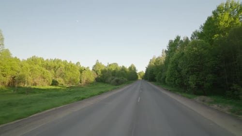 Along a forest road at sunset, POV