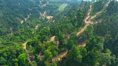 Aerial drone capture of hillside deforestation with winding roads.