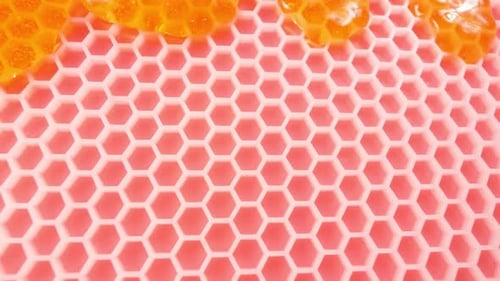 Honey and Honeycomb