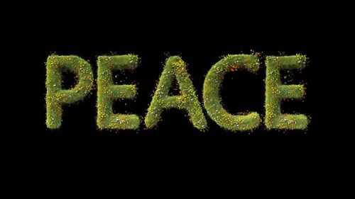 Green Grass PEACE Title On Alpha