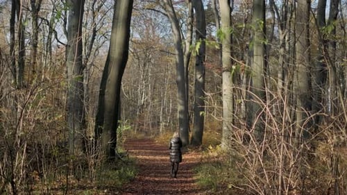 Woman on the Path in the Park walking in forest during fall