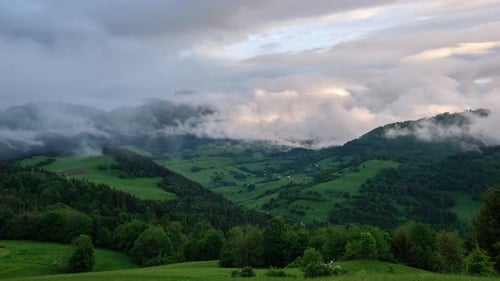 Beautiful Rural Carpathian Landscape Forest and Mountains Shrouded in Fog After Rain