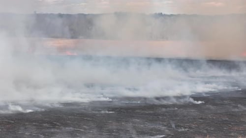 The Controlled Burn of a Field for an Approaching Forest Fire