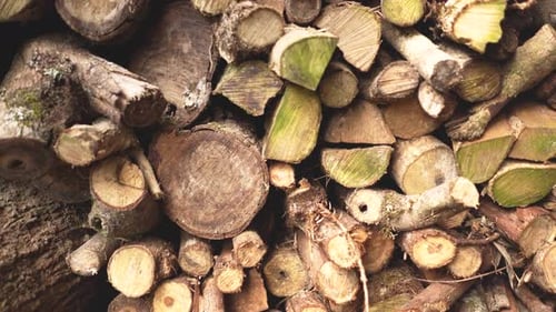 Pile of Chopped Wood Stacked
