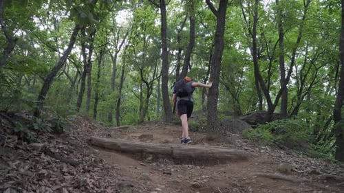 Side view of the male hiker walking up the hill following the trail path in the woods