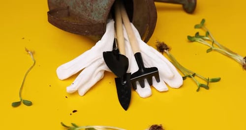 Rotation Watering Can Gardening Tools Gloves and Greens on Yellow Background