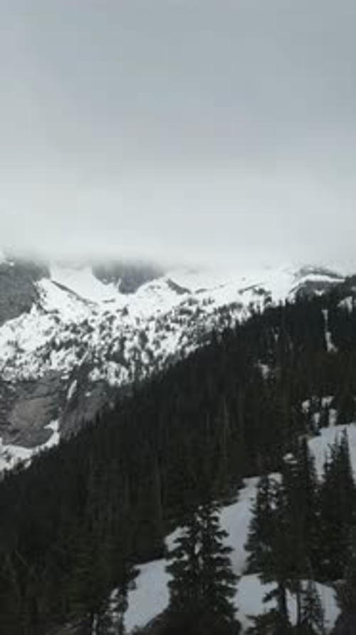 Snowy Mountain Peaks And Pine Trees. British Columbia, Canada.