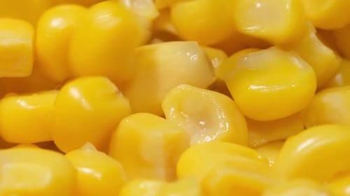 Pickled Corn Seeds Fall Down at a Speed of 200 Fps
