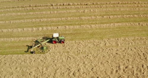 Aerial shot of farming tractor is collecting a straw on a field for making hay bales in a sunny da