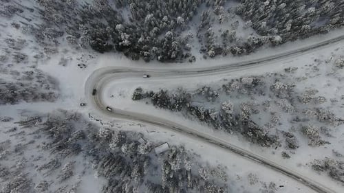 Drone shot of sharp hairpin road curve in dense pine woods