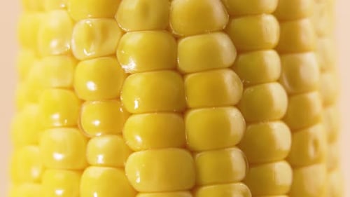 Rotating close-up of fresh yellow corn kernels with glossy texture.