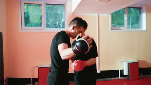 Boxer lieferten sich eine Sparring-Session auf einer roten Matte im Fitnessstudio, stehen sich gegenüber und werfen Schläge