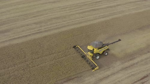 Agricultural Machine Harvesting Crops At Soybean Farm Farm