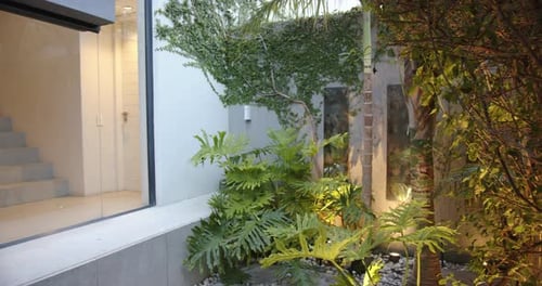 Modern home with large windows and lush garden, showcasing contemporary design