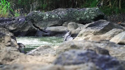 Water Flowing Between Mossy Rocks in Nature