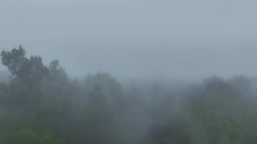 Aerial View Majestic Forest Landscape in the Clouds High in the Mountains