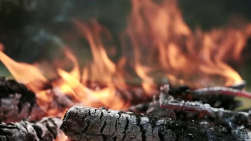 Close up of campfire that burns with lot smoke at sunny day on background green forest
