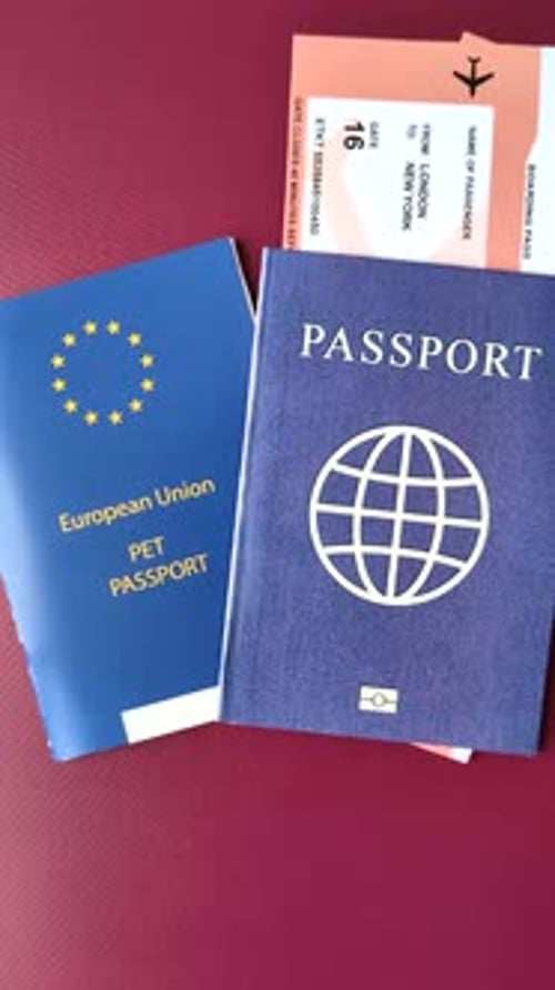 Passports and tickets for international travel on red surface